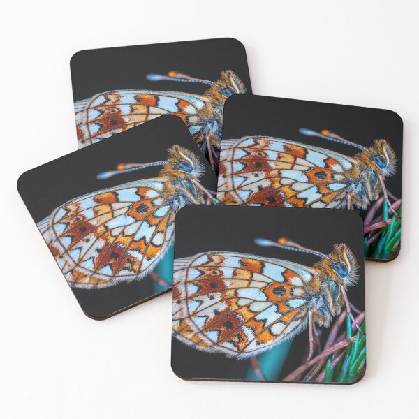 Item preview, Close-up view of a Butterfly designed and sold by Raureif.