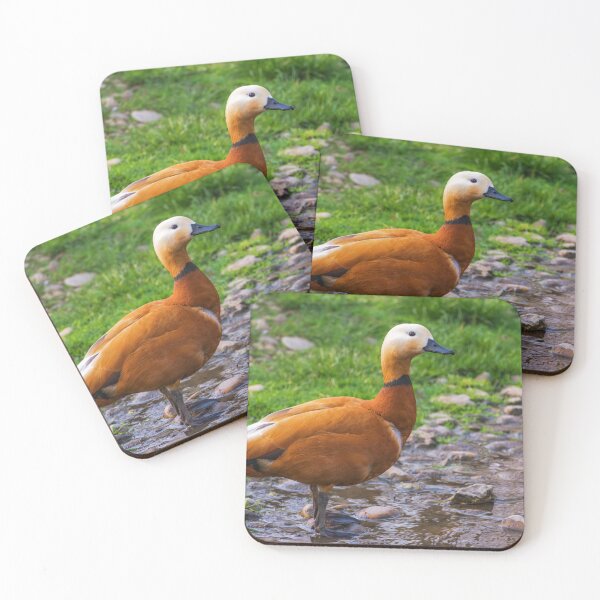 Item preview, Duck standing in a creek designed and sold by Raureif.