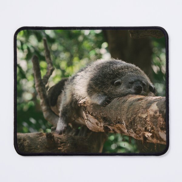 Item preview, Palm Civet relacing on a tree branch designed and sold by Raureif.