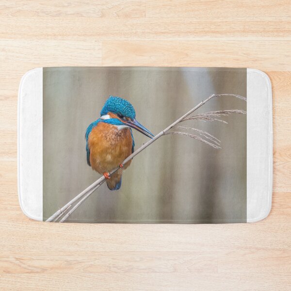 Item preview, Common Kingfisher designed and sold by Steve Liptrot Photography.