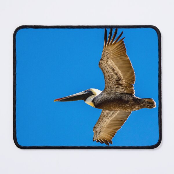 Item preview, Pelican in Rich Color designed and sold by ILD-Photography.
