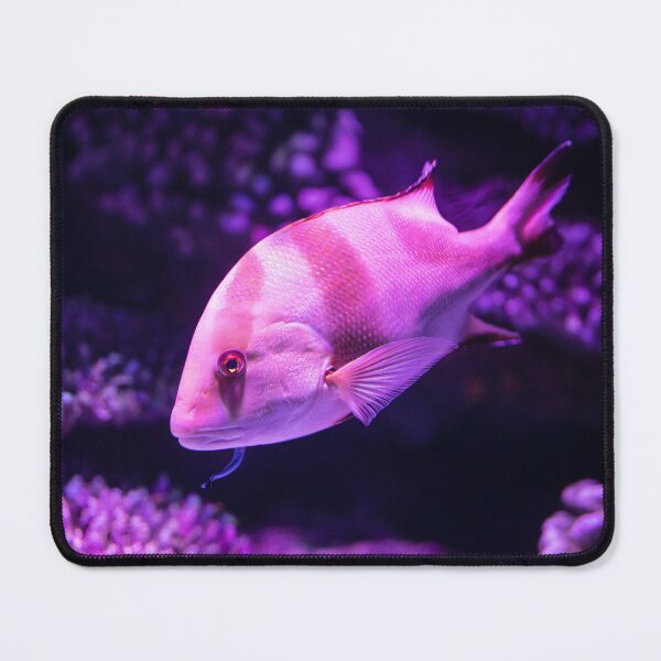 Item preview, Purple Fish designed and sold by Raureif.