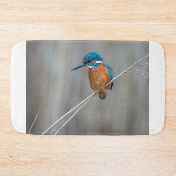 Item preview, Common Kingfisher designed and sold by Steve Liptrot Photography.