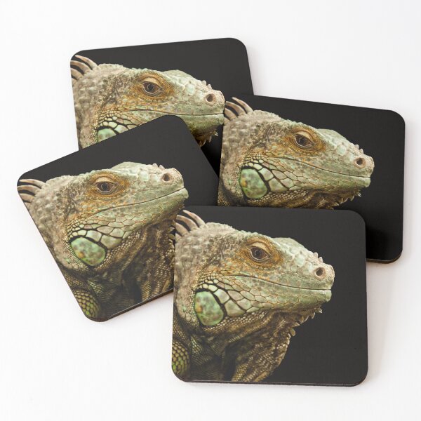 Item preview, ’Iguana portrait’ designed and sold by Raureif.