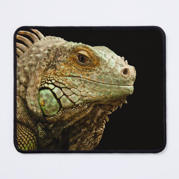 Item preview, ’Iguana portrait’ designed and sold by Raureif.