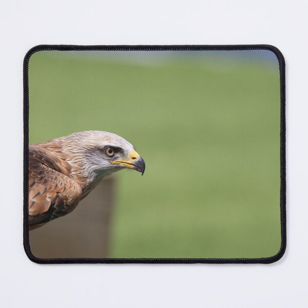 Item preview, ’Ferruginous Hawk’ designed and sold by Raureif.
