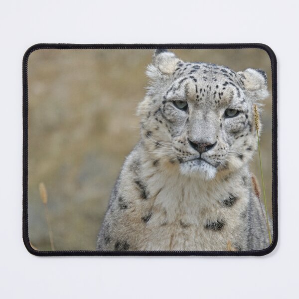 Item preview, White Cheetah designed and sold by Raureif.
