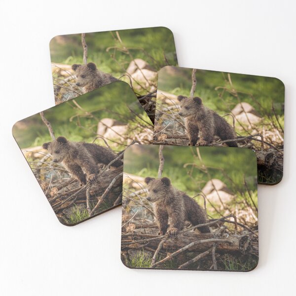 Item preview, Cute Brown Bear Cub in the Forest designed and sold by Raureif.