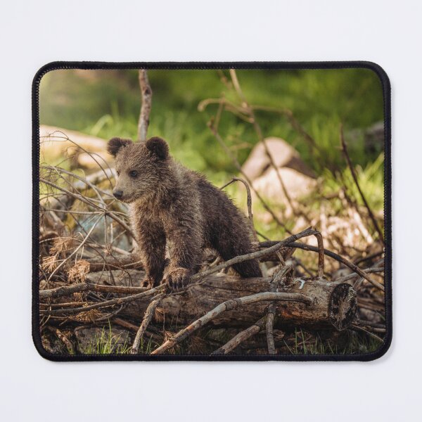 Item preview, Cute Brown Bear Cub in the Forest designed and sold by Raureif.