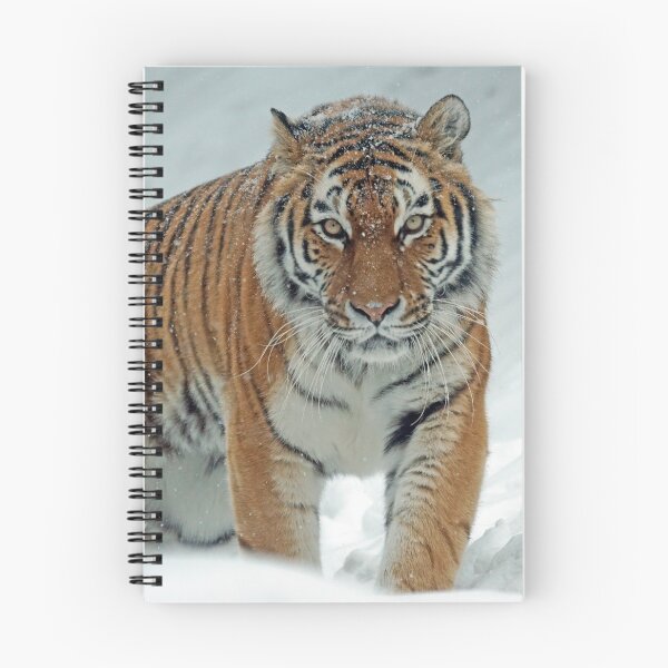 Item preview, Magnificent Tiger in a Snow designed and sold by Raureif.