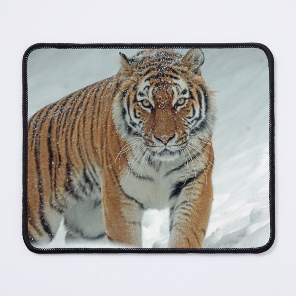 Item preview, Magnificent Tiger in a Snow designed and sold by Raureif.