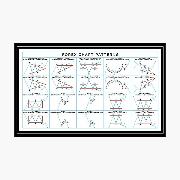 Forex chart patterns | Psychology of market cycle | wallstreet cheat sheet | trading patterns | bitcoin Photographic Print