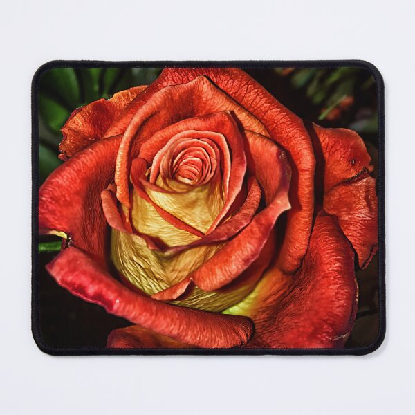 Item preview, Sultry Blaze designed and sold by Catherine Melvin.