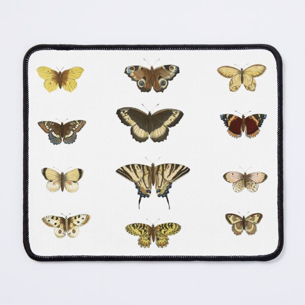 Item preview, Different Species Of Butterflies designed and sold by Elena Ray.