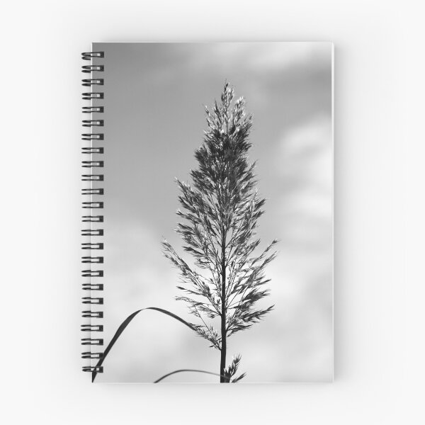 Item preview, Black and White Decorative Grass designed and sold by ALEX PHOTO DREAMS.