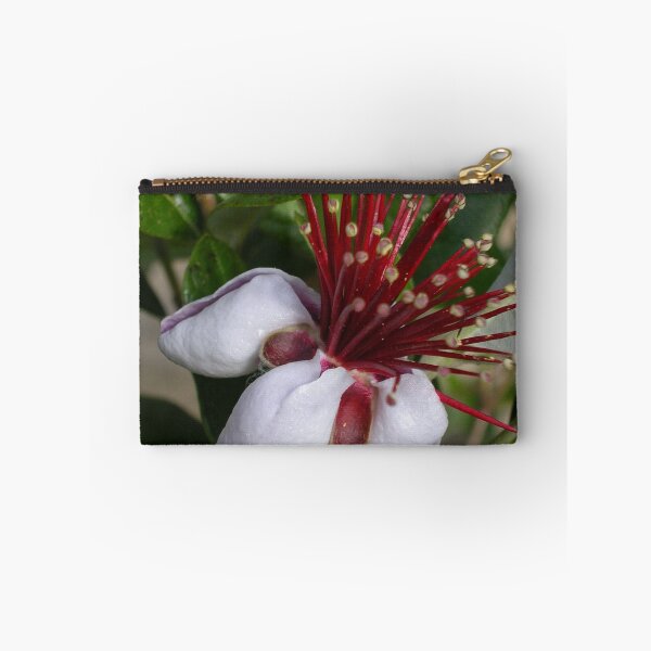 Item preview, Acca sellowiana (Feijoa) designed and sold by lezvee.