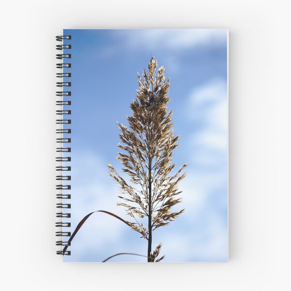 Item preview, Successful Grass designed and sold by ALEX PHOTO DREAMS.