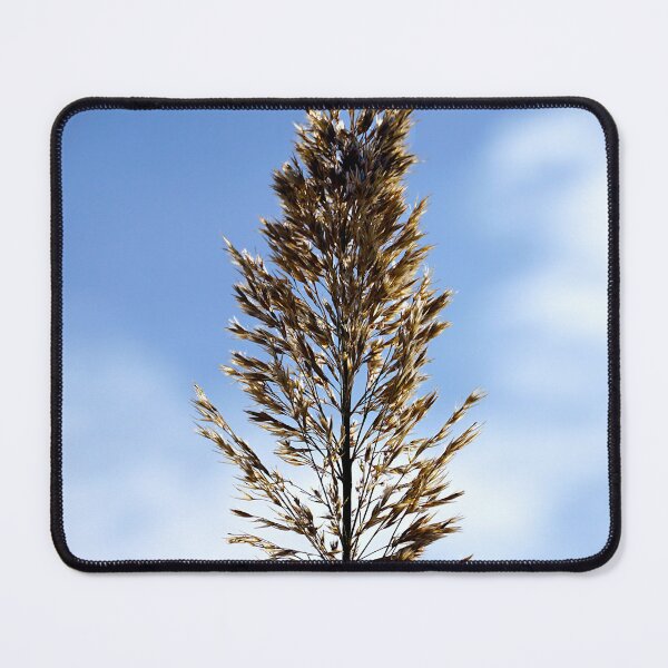 Item preview, Successful Grass designed and sold by ALEX PHOTO DREAMS.