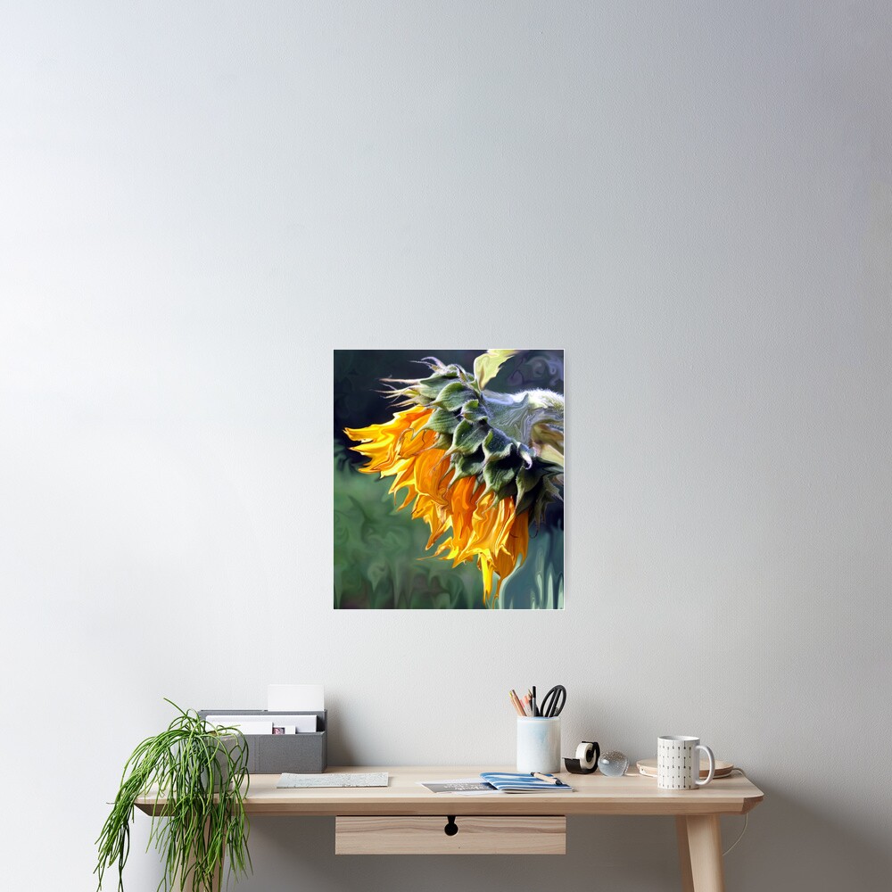 sunflower-a-symbol-of-hope-poster-for-sale-by-canso-redbubble