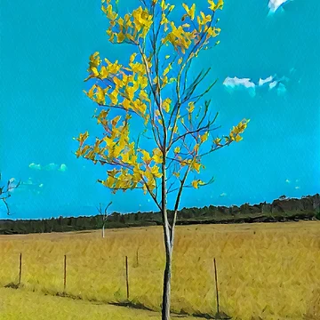 Imagen de la obra parche de amarillo de RandaRubyRed
