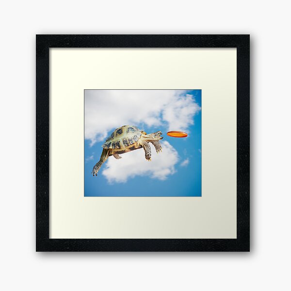 Vista previa del artículo con la obra «Funny Frisbee Catching Turtle», diseñado y vendido por DV-LTD.