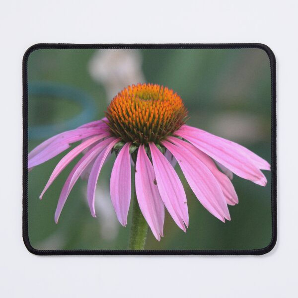 Item preview, Coneflower designed and sold by Bonnie's Playground.