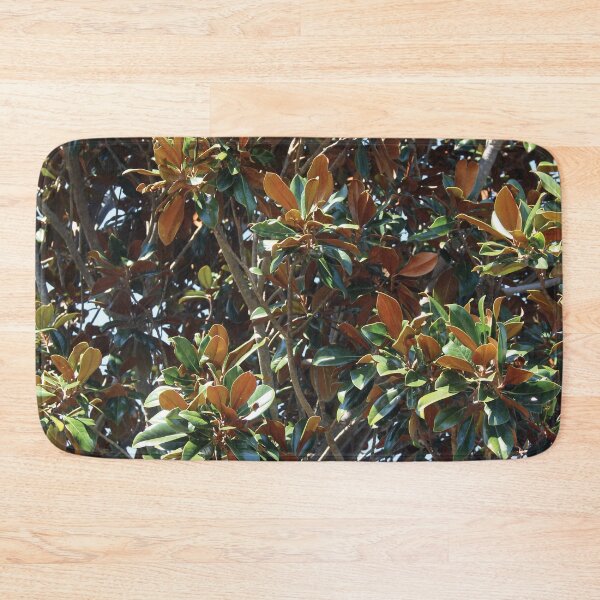 Item preview, Heavy, velvety leaves of a Southern Magnolia tree designed and sold by Rennie Palmer.