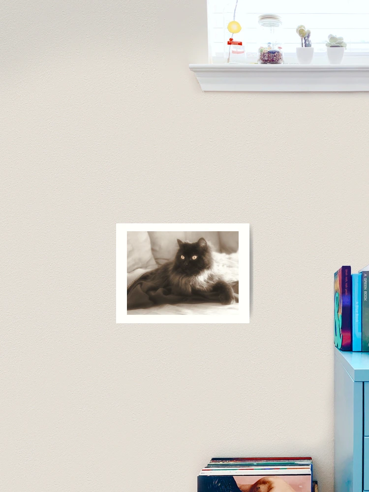 Thumbnail 2 of 3, Art Print, Fluffy Ragdoll designed and sold by TimeWastingHero.