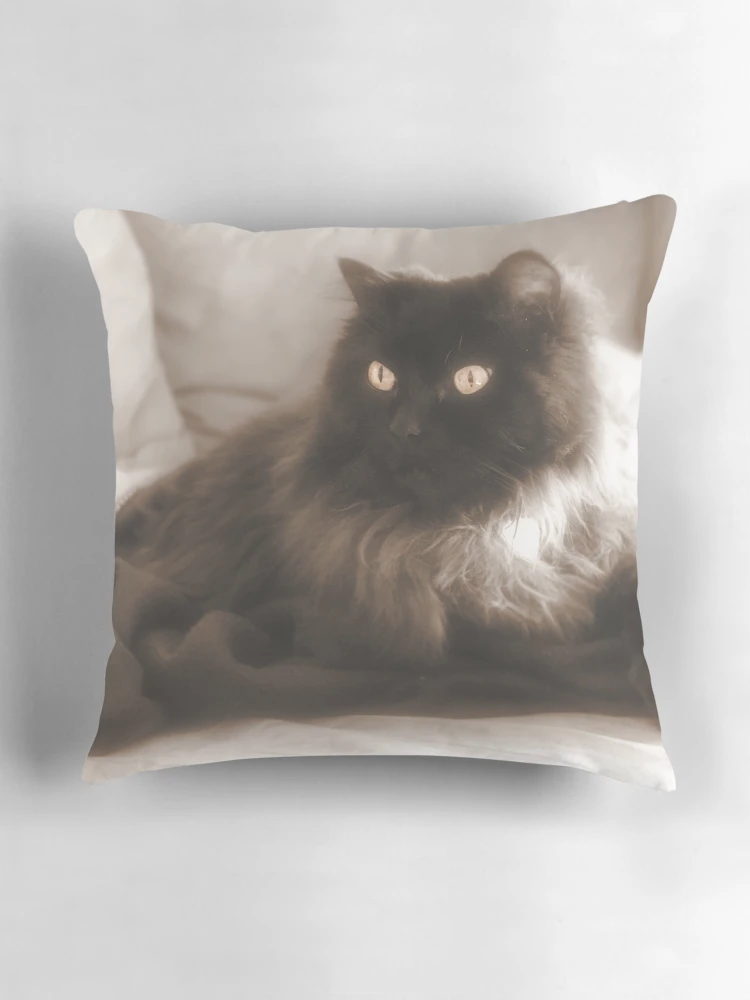 Thumbnail 3 of 4, Pillow, Fluffy Ragdoll designed and sold by TimeWastingHero.