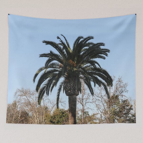 Item preview, Palm in the Park designed and sold by heatherfriedman.