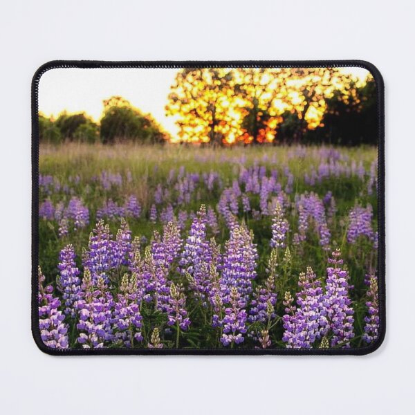 Item preview, The Beauty of Lupines designed and sold by passion4photos.