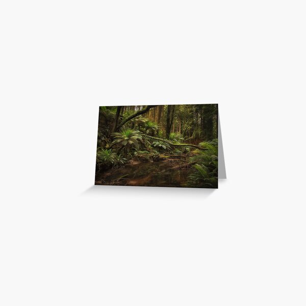 Item preview, Redwoods, Otways, Victoria designed and sold by Margaret Metcalfe.