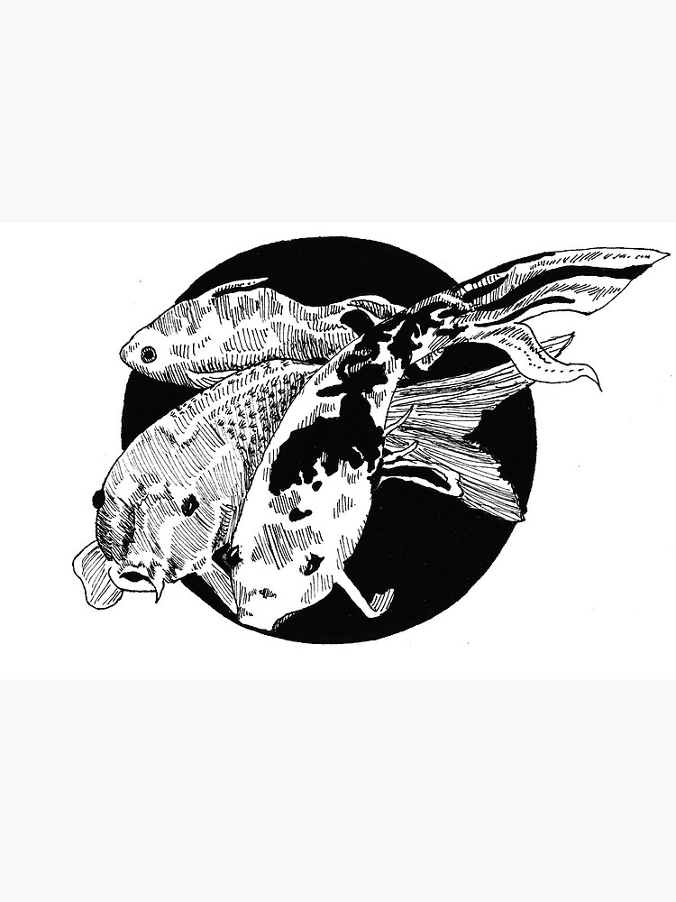 Berkley Money Badger Crankbaits - American Legacy Fishing, G Loomis  Superstore