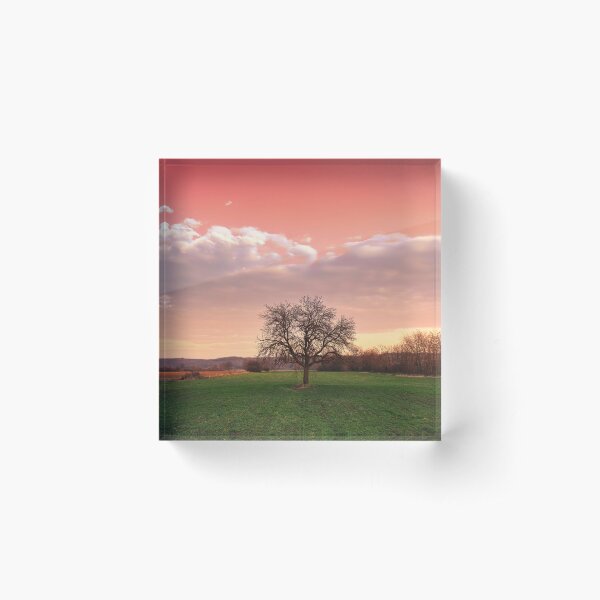 Item preview, Bare tree in the field beneath the red sky designed and sold by Dejan Travica.