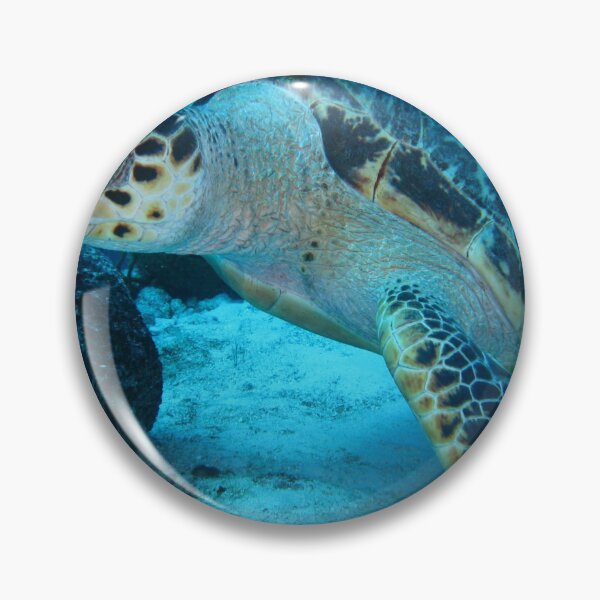 Item preview, Angry Seaturtle designed and sold by RyansOpenDoor.