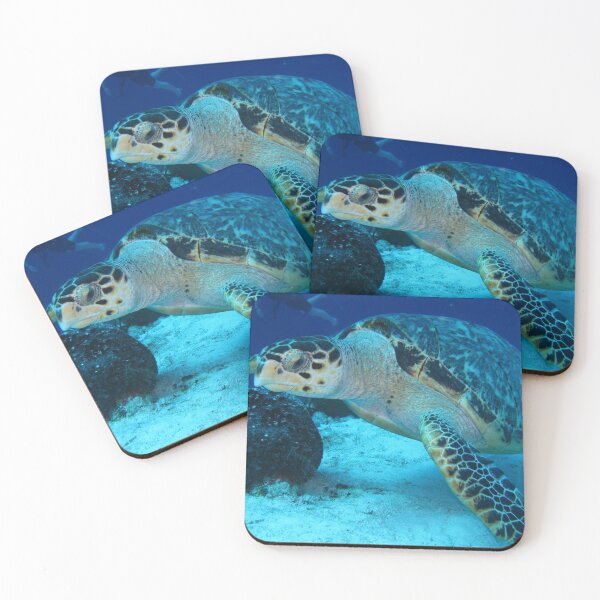 Item preview, Angry Seaturtle designed and sold by RyansOpenDoor.