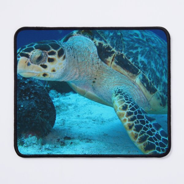 Item preview, Angry Seaturtle designed and sold by RyansOpenDoor.