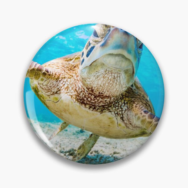 Item preview, Grumpy Seaturtle designed and sold by RyansOpenDoor.
