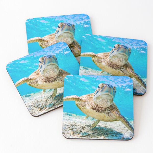 Item preview, Grumpy Seaturtle designed and sold by RyansOpenDoor.