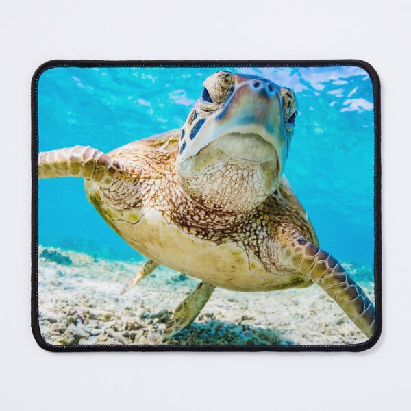 Item preview, Grumpy Seaturtle designed and sold by RyansOpenDoor.