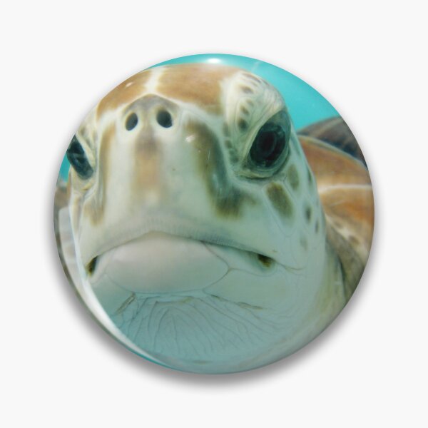 Item preview, Annoyed Seaturtle designed and sold by RyansOpenDoor.