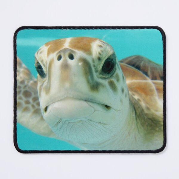 Item preview, Annoyed Seaturtle designed and sold by RyansOpenDoor.
