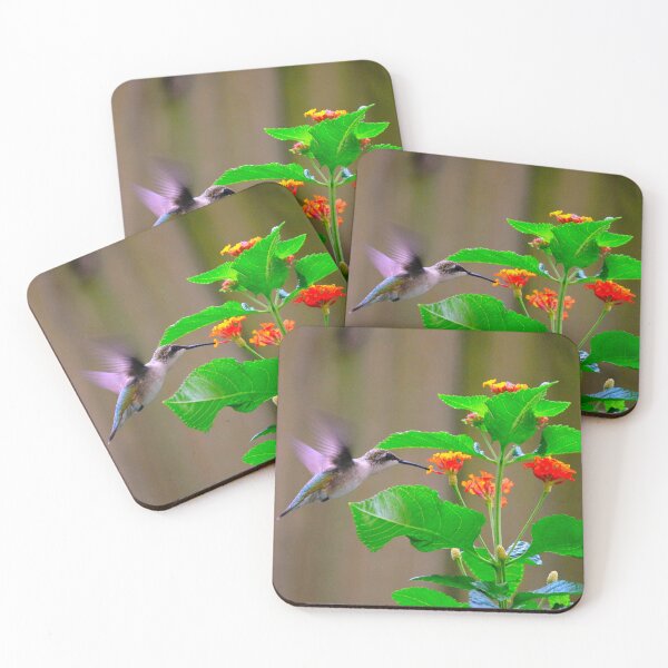 Item preview, Original photo of Hummingbird by Dody Denman, Babe Monet designed and sold by MoxyMermaid.