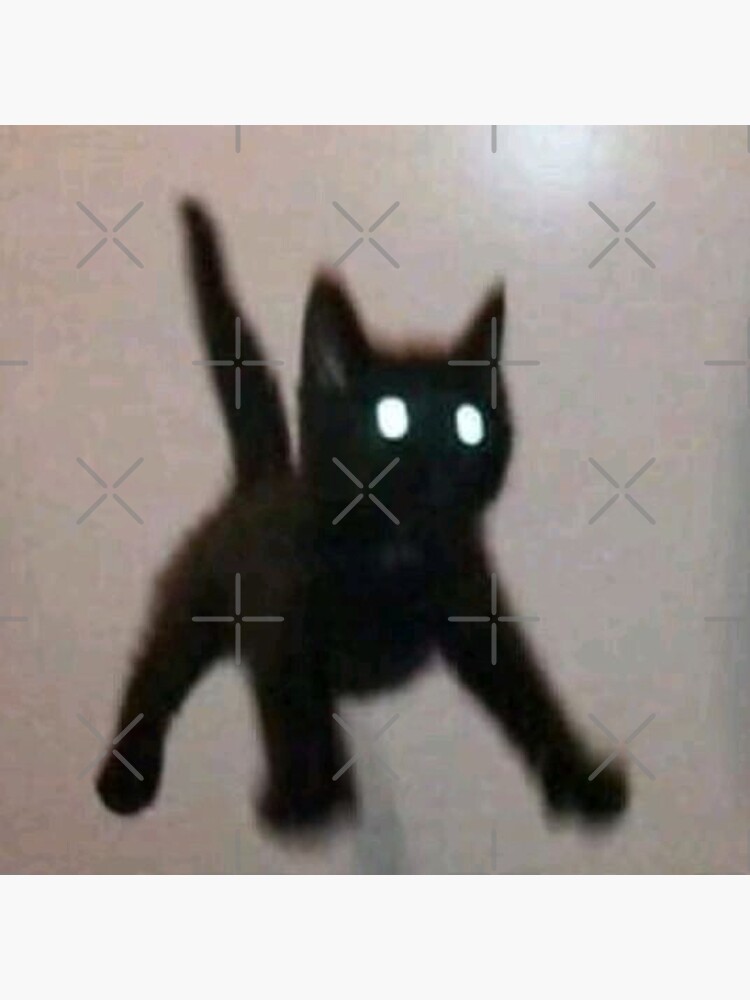 Cursed Cat (joke post)