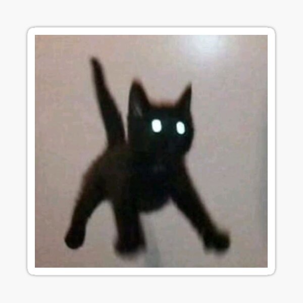 cat #catmeme #meme #gatosseencarando #funny #laugh #cats #blackcat #p