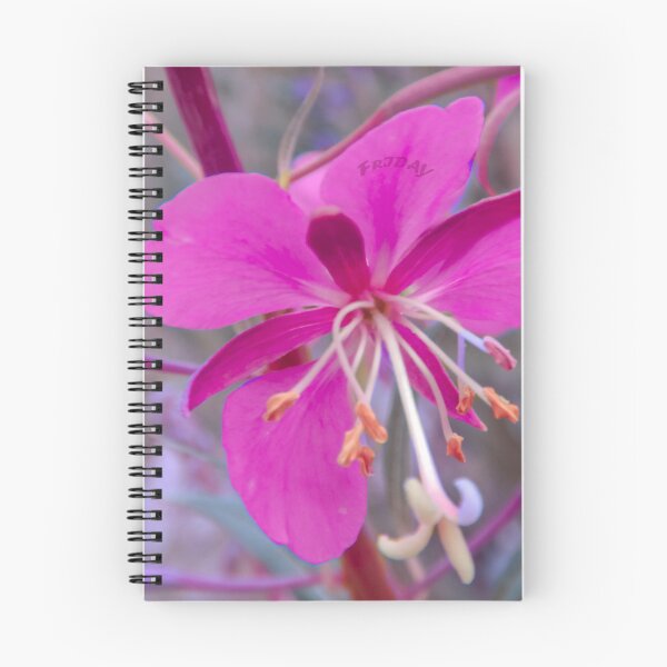 Item preview, Fireweed - Friday designed and sold by MelBolin.