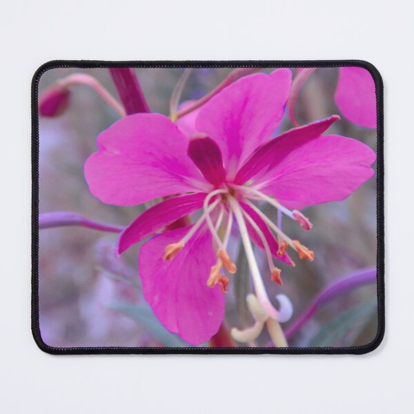 Item preview, Fireweed - Friday designed and sold by MelBolin.
