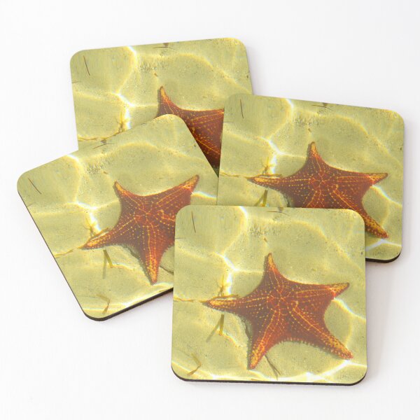 Item preview, Original Starfish photo by Dody Denman designed and sold by MoxyMermaid.