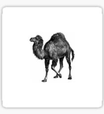 Perl programming logo Sticker