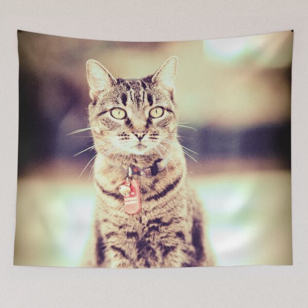 Item preview, Outdoor tabby cat designed and sold by fowons.